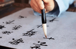 ������ѧ��