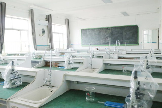 ����ʵ����