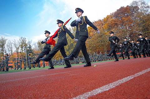 Ԥ��������Ĳ���