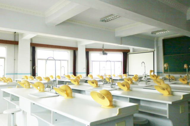 �г�����ʵѵ